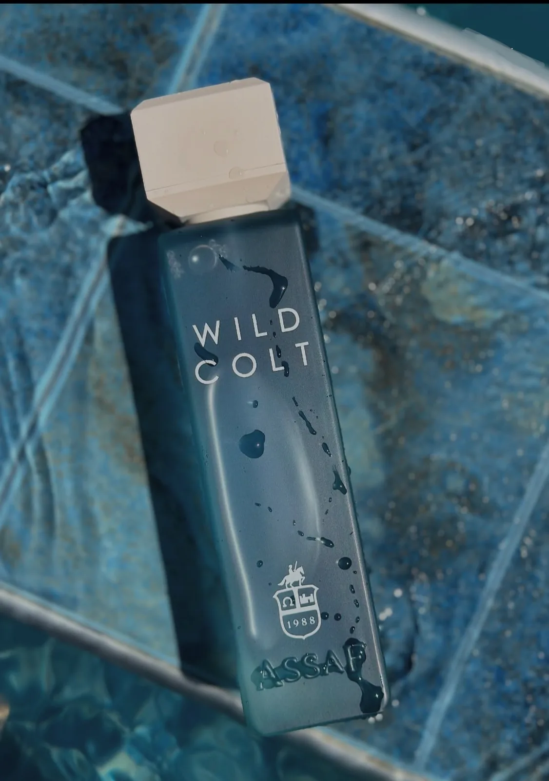 Wild Colt by Assaf